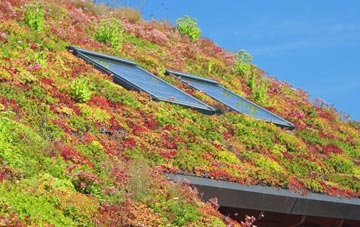 Cambusnethan living roof systems